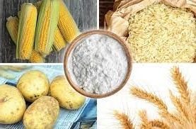 conoces el almidon de maiz modificado